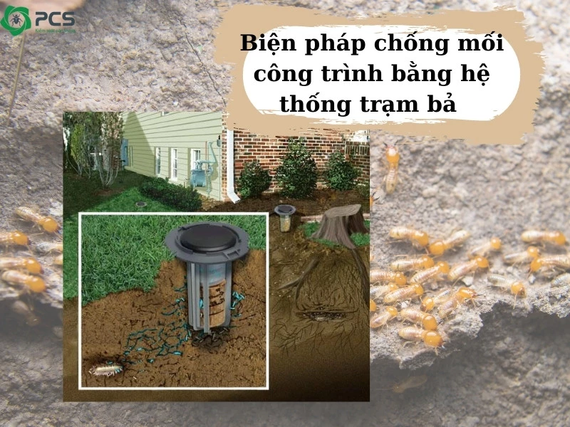 Biện pháp chống mối công trình 